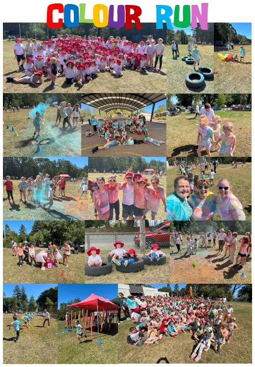 Colour Run 2025